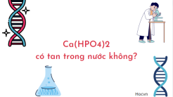 cahpo4 co tan trong nuoc khong 1