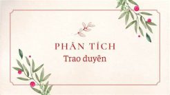 phan tich trao duyen 14 cau dau 1