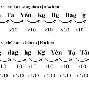 2 5 ta bang bao nhieu kilogam 2 min