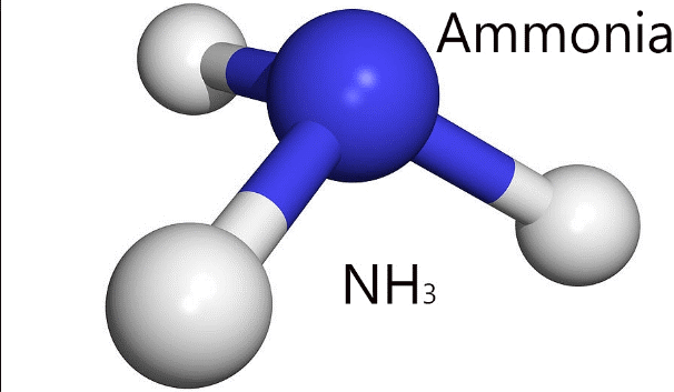 Chất Có Thể Làm Khô Khí NH3