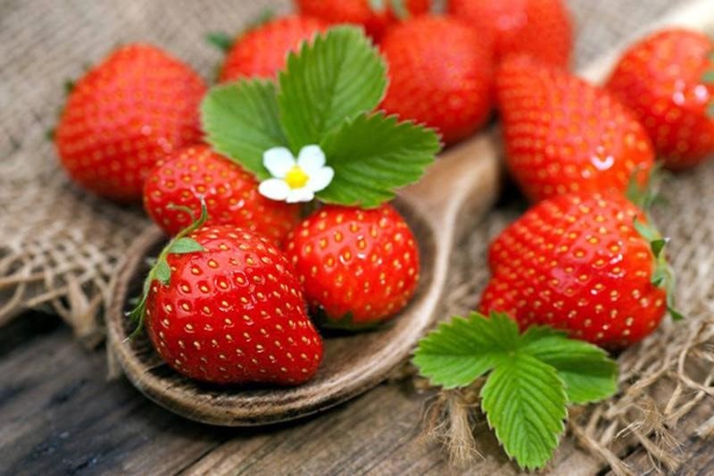 Cônsixin Thường Dùng Để Gây Đột Biến Ở Đâu