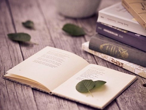 Diễn Dịch Và Quy Nạp Là Gì