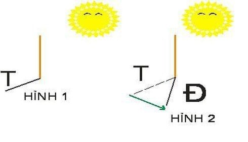 Hướng Mặt Trời Mọc Là Hướng Nào