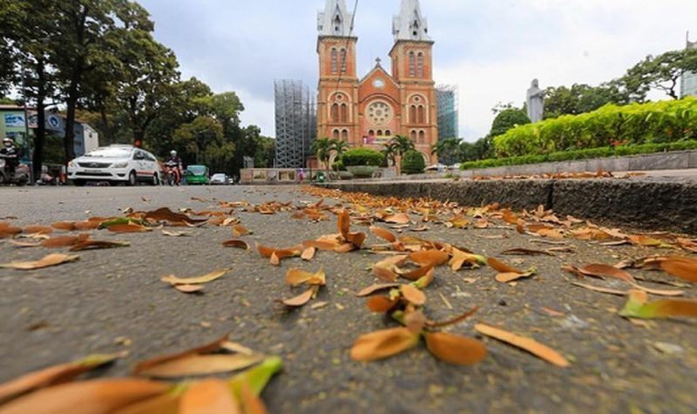 Mùa Mưa Và Mùa Khô Ở Miền Nam
