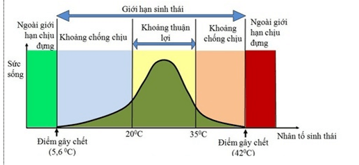 so do tu duy bai 35 sinh hoc 12 2