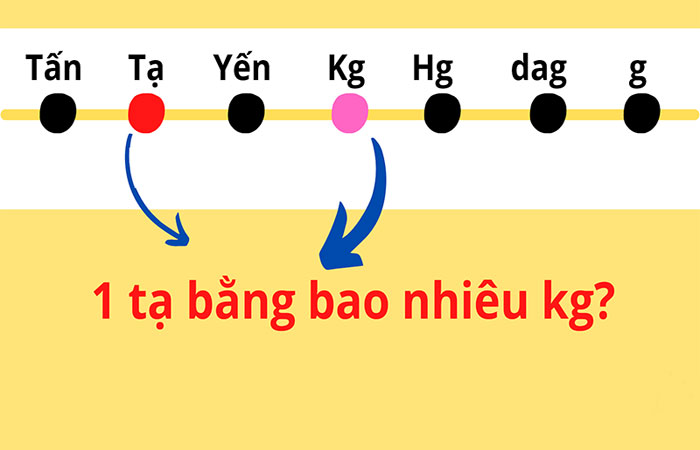 1 2 Tạ Bằng Bao Nhiêu Kg?