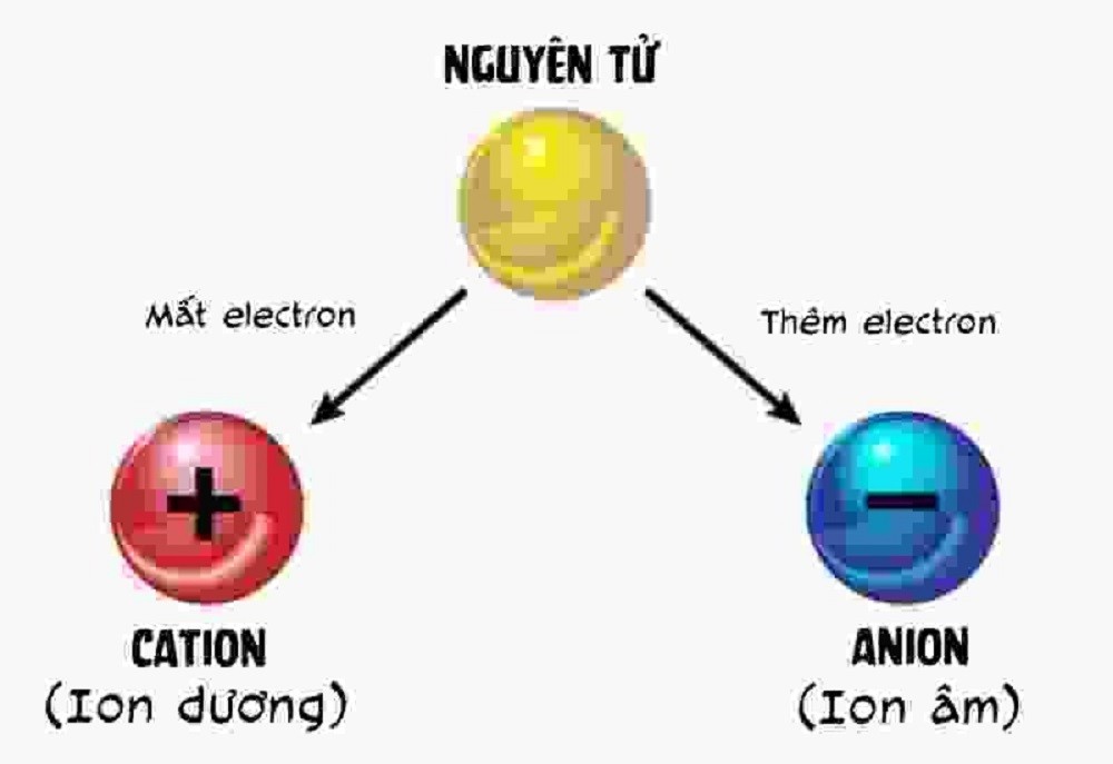 Ion Nào Sau Đây Là Ion Đơn Nguyên Tử ?