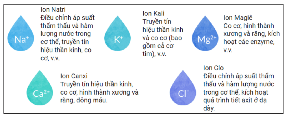 Ion Nào Sau Đây Là Ion Đơn Nguyên Tử ?