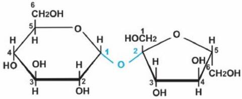 Phản Ứng Mantozo Tráng Bạc