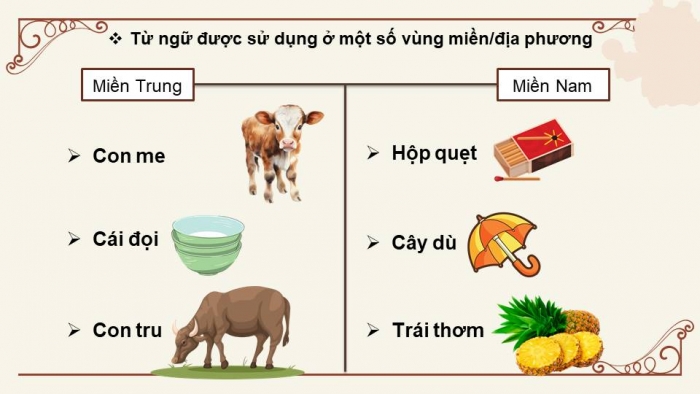 Từ Địa Phương Và Từ Toàn Dân: Những Nét Đặc Sắc Của Tiếng Việt