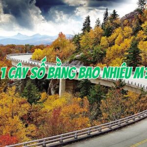 1 cây số bằng bao nhiêu m