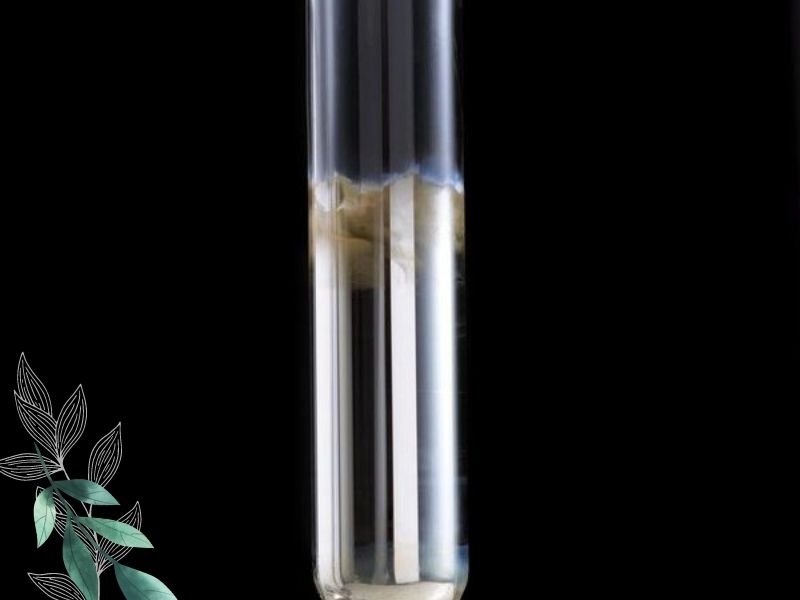 Glucozo AgNO3 NH3