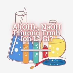 Al(Oh)3, NaOh phương trình ion là gì