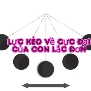 Lực kéo về cực đại của con lắc đơn