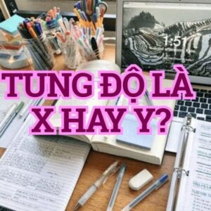 tung độ là x hay y